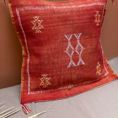 Housse de coussin végétale en soie de Cactus